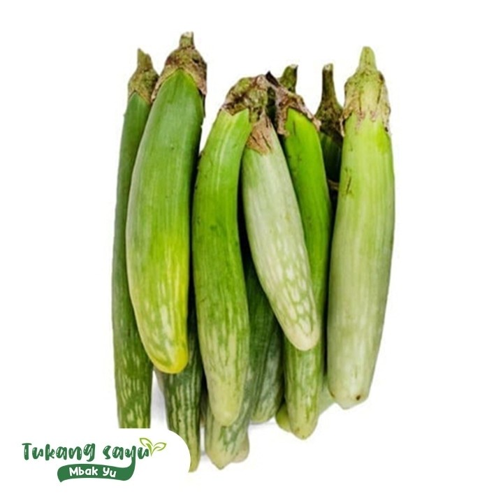 

Terong medan segar - terong telunjuk 500gr