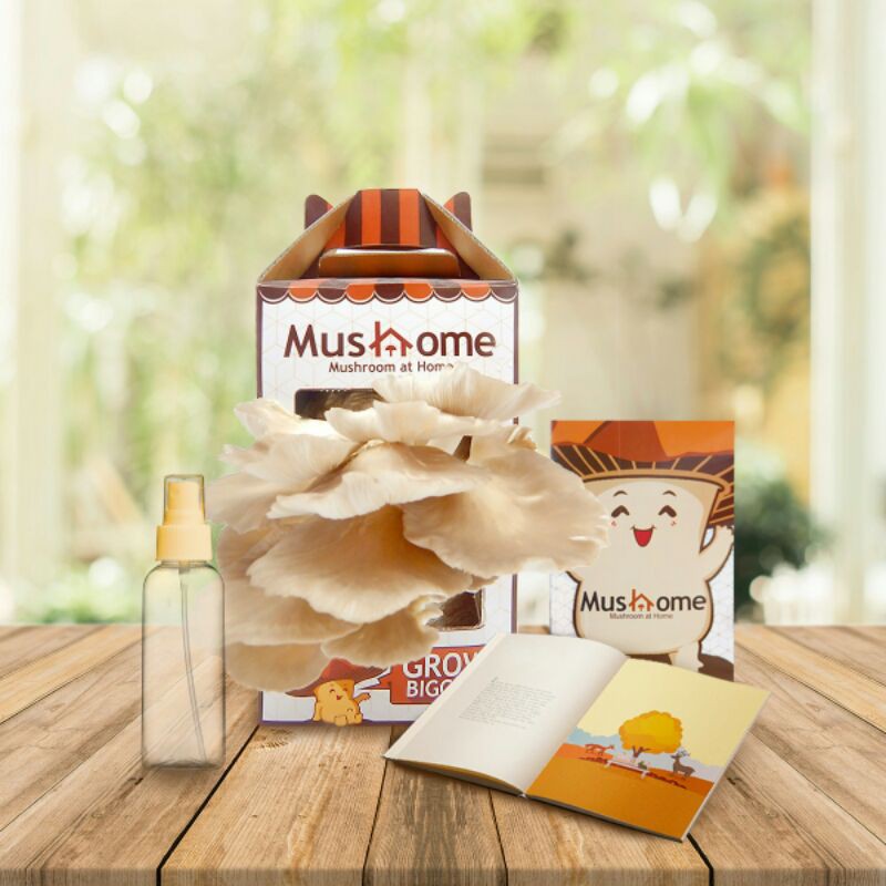 MusHome (Media Tanam Jamur) Tiram Putih