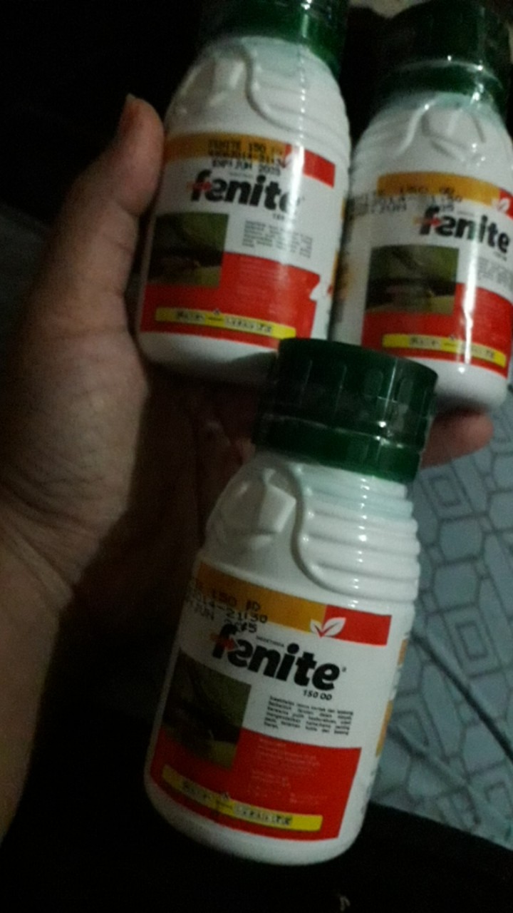 Insektisida Fenite 150 Od Dari Petrokimia Kayaku 100ml