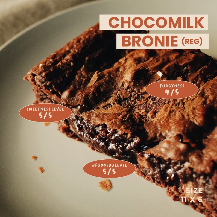

FUDGYBRO MILKCHOCO BROWNIES - REGULER