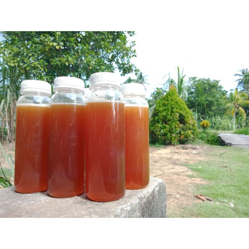 

Madu Klanceng Kelulut (Trigona Itama) [300 g]