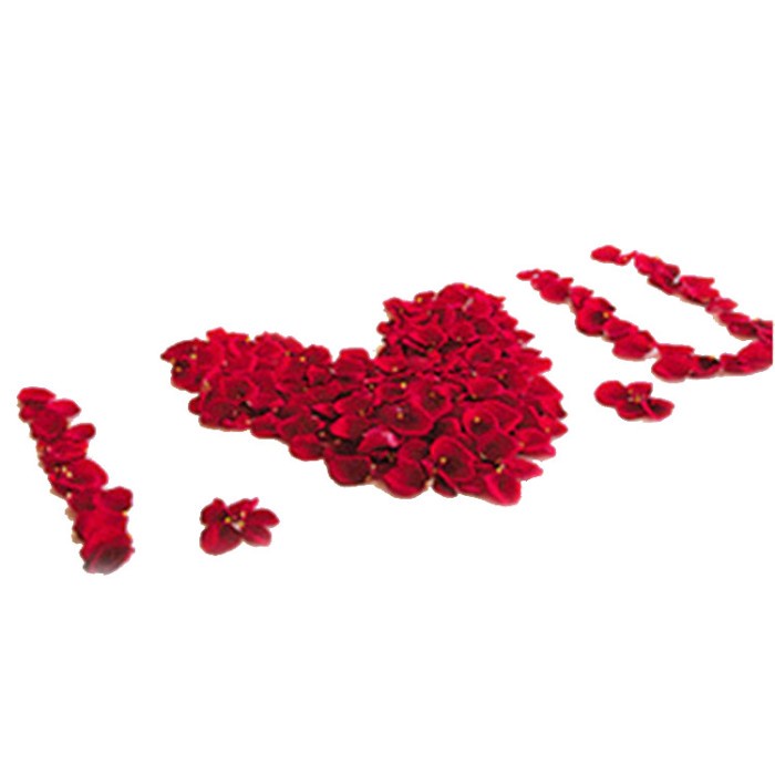 Triple W Fake Artificial Rose Petals Kelopak Mawar Palsu Properti Foto