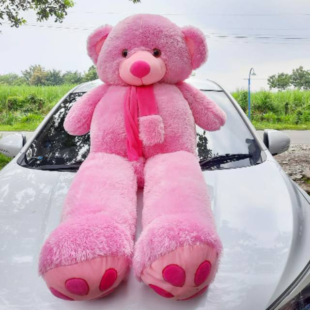 Boneka Teddy Bear Beruang Syal Telapak Jumbo 1,6 meter / Promo Toko Boneka Jumbo