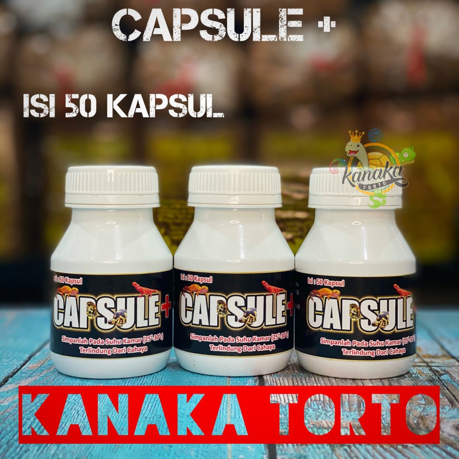 

Capsule Plus Harga Per Kapsul Obat Reptil