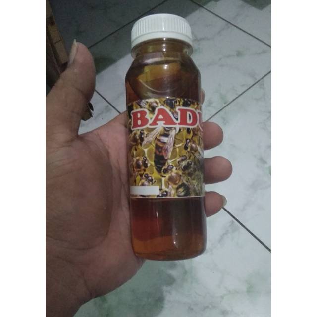 

Madu hutan adeng asli