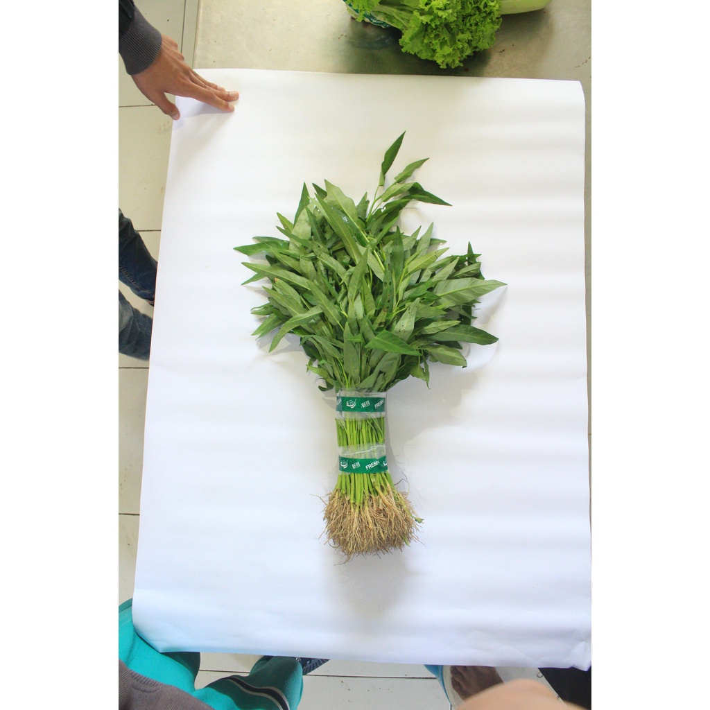 

Kangkung segar by Lembang Agri per 250 gram