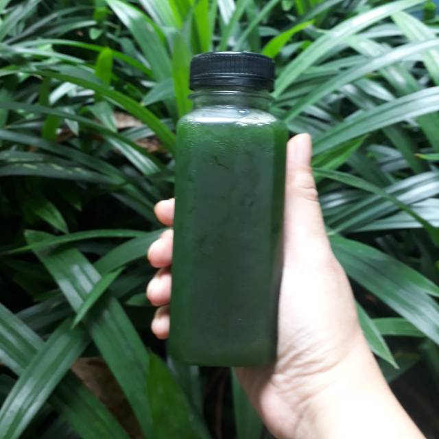 

Air jus pandan