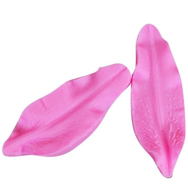 Deep Texture Silicone Mold - Lily Flower Petal (2pcs)