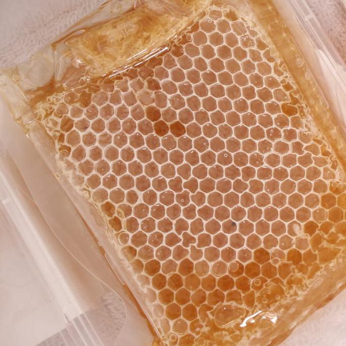 

Rizki Ol Store. Madu Sarang Apis Mellifera 500Gr Madu Tiga.