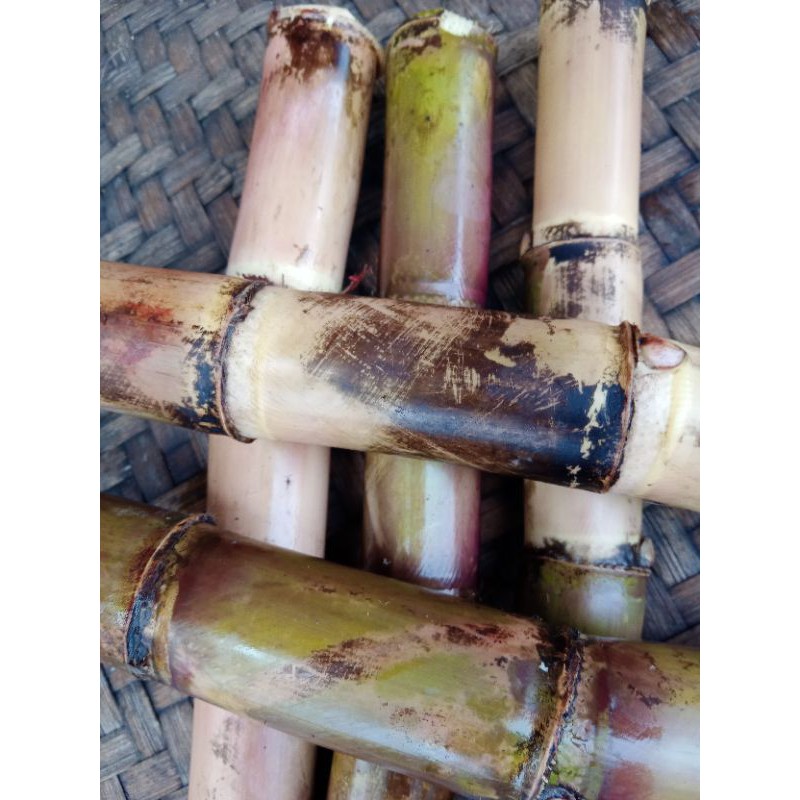 

tebu segar asli per 500 grm