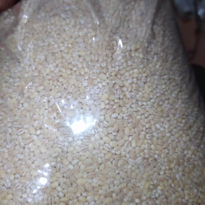 

Vs201Vv Jali Jali Rrc /Barley 500 Gr Dscscv