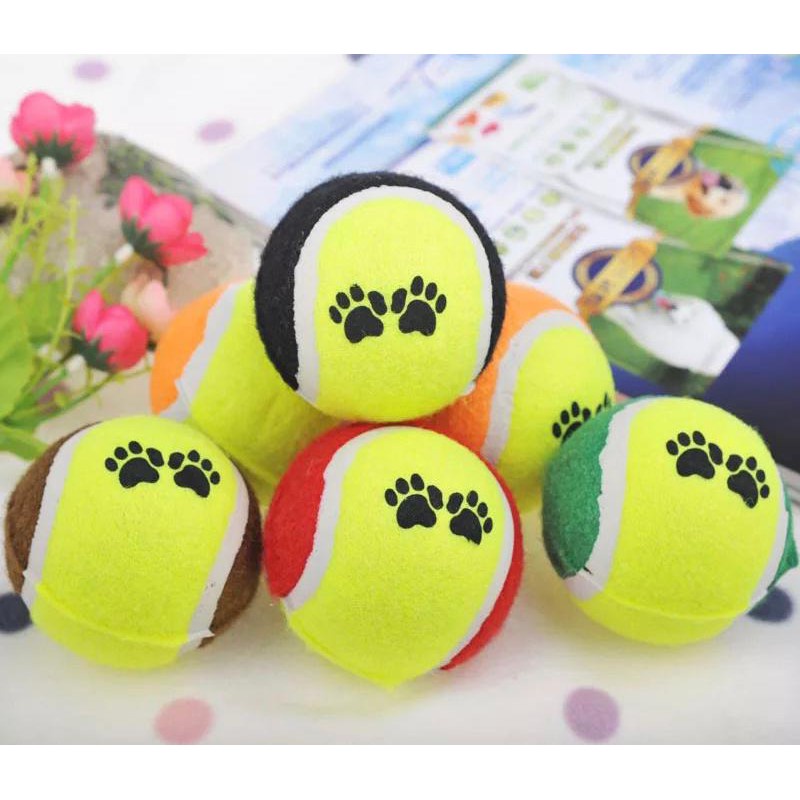 Bola Tenis Mainan Anjing dan Kucing