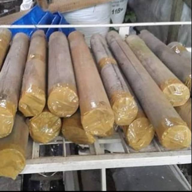 Bibit klanceng trigona ori dalam bambu.