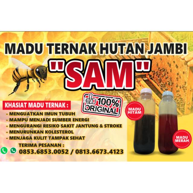 

Madu ternak hutan