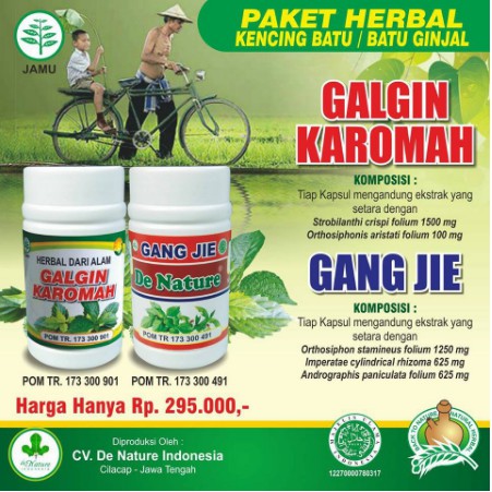 OBAT  BATU GINJAL BATU EMPEDU INFEKSI SALURAN KEMIH INFEKSI SALURAN KENCING INFEKSI GINJAL DENATURE