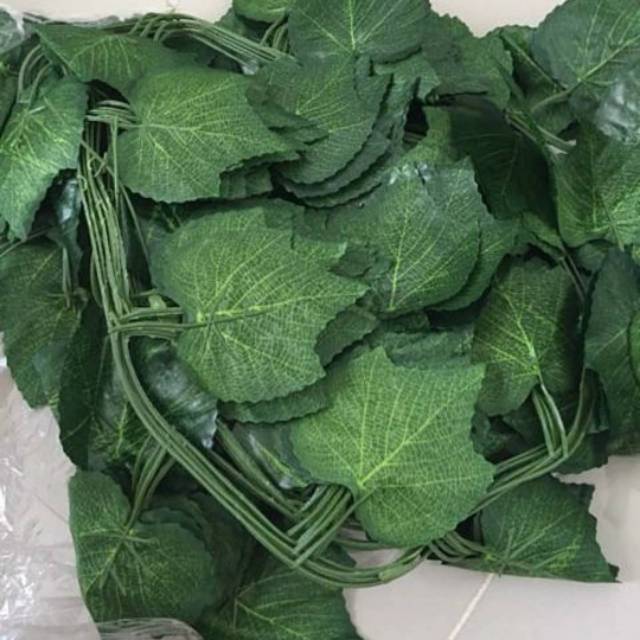 Daun rambat, daun anggur palsu, tanaman palsu, daun menjuntai, tanaman artificial