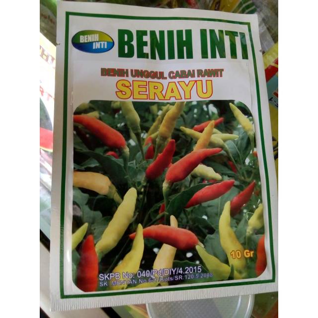 Benih Cabe Rawit SERAYU Lokal original