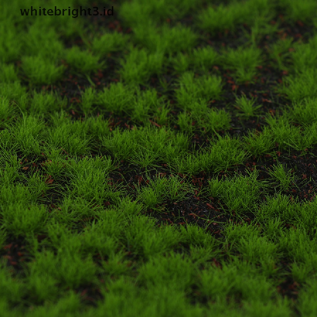 (whitebright3.id) Tanaman Lumut Hijau Imitasi Untuk Dekorasi Taman diy