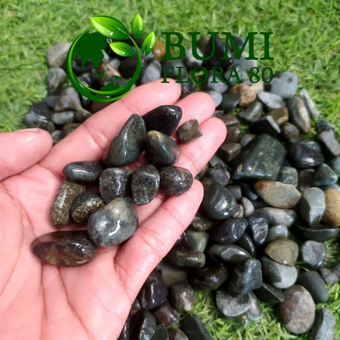 BATU HIAS KORAL BENGKULU KARUNG 12 KG/BATU TAMAN/BATU KORAL