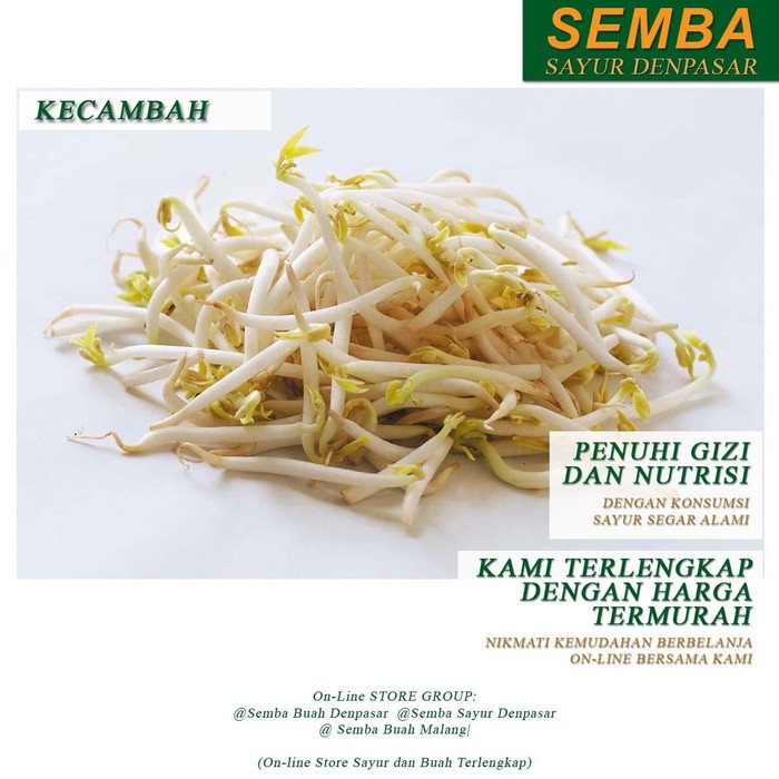 

KECAMBAH TOGE sayur sayuran DENPASAR BALI sembako bumbu lauk food bahan makanan murah fresh