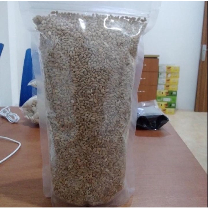 

Biji Gandum / Gandum Utuh Khas Arab 1kg