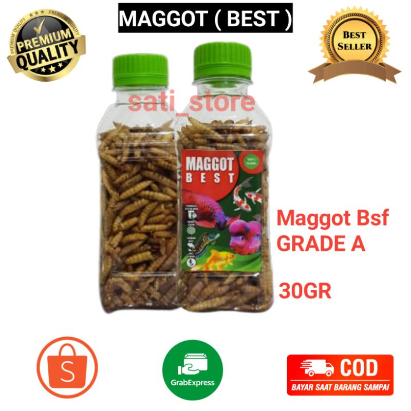 Maggot bsf Maggot kering Maggot BEST ( isi netto 30gr ) kwalitas Grade A