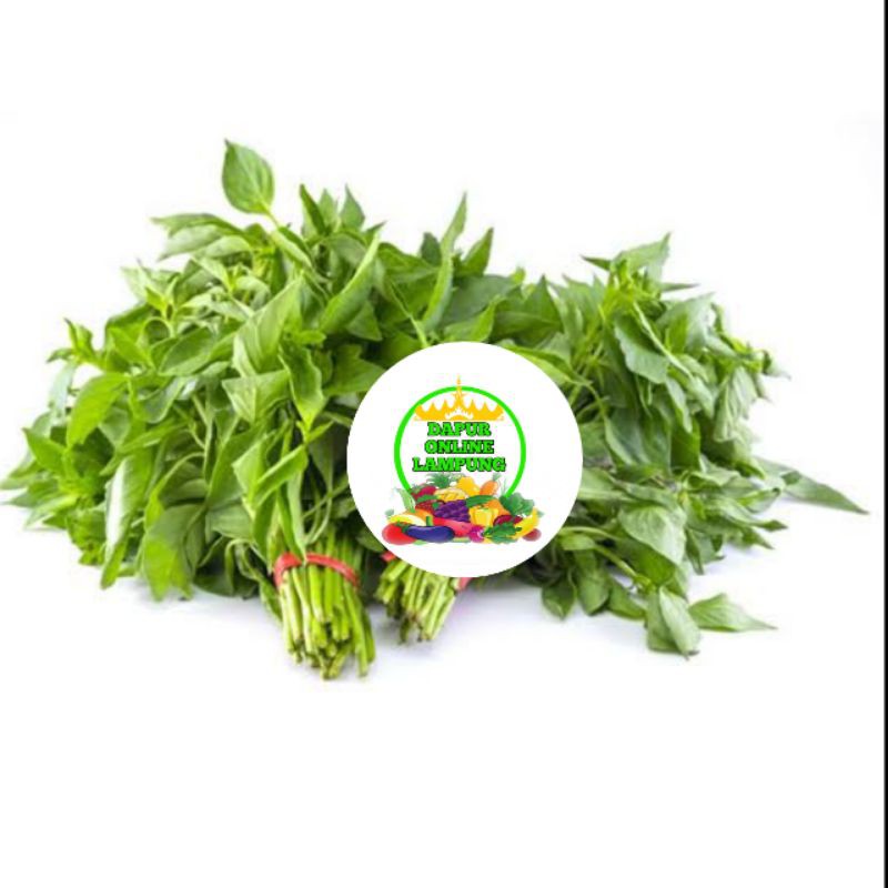 

KEMANGI/IKAT LALAPAN SEGAR BANDAR LAMPUNG