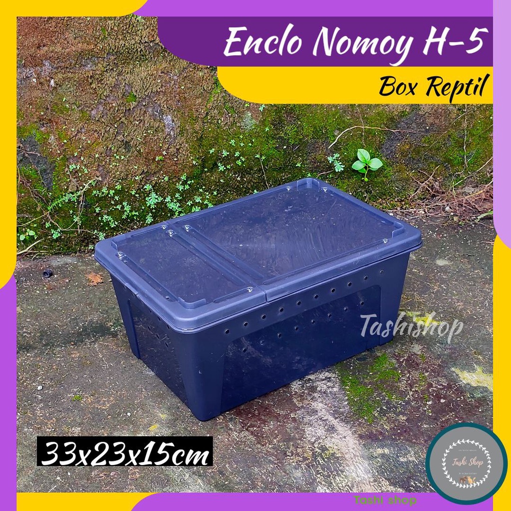 Kotak Reptil Enclo Reptile Tarantula Vivarium gecko Feeding Box Kandang Reptil Kura-Kura | Enclo H5