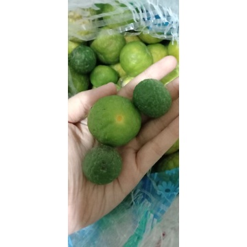 

Jeruk Limau - Jeruk Sambal - Jeruk Soto