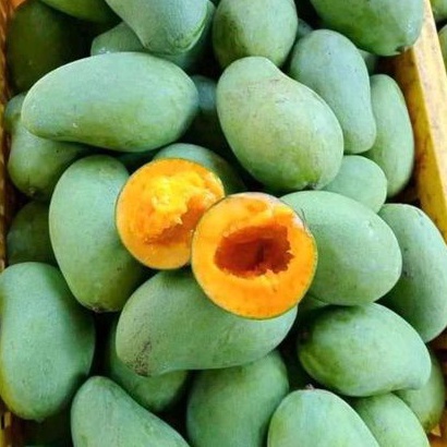 

Buah mangga harumanis matang/paket 3kg