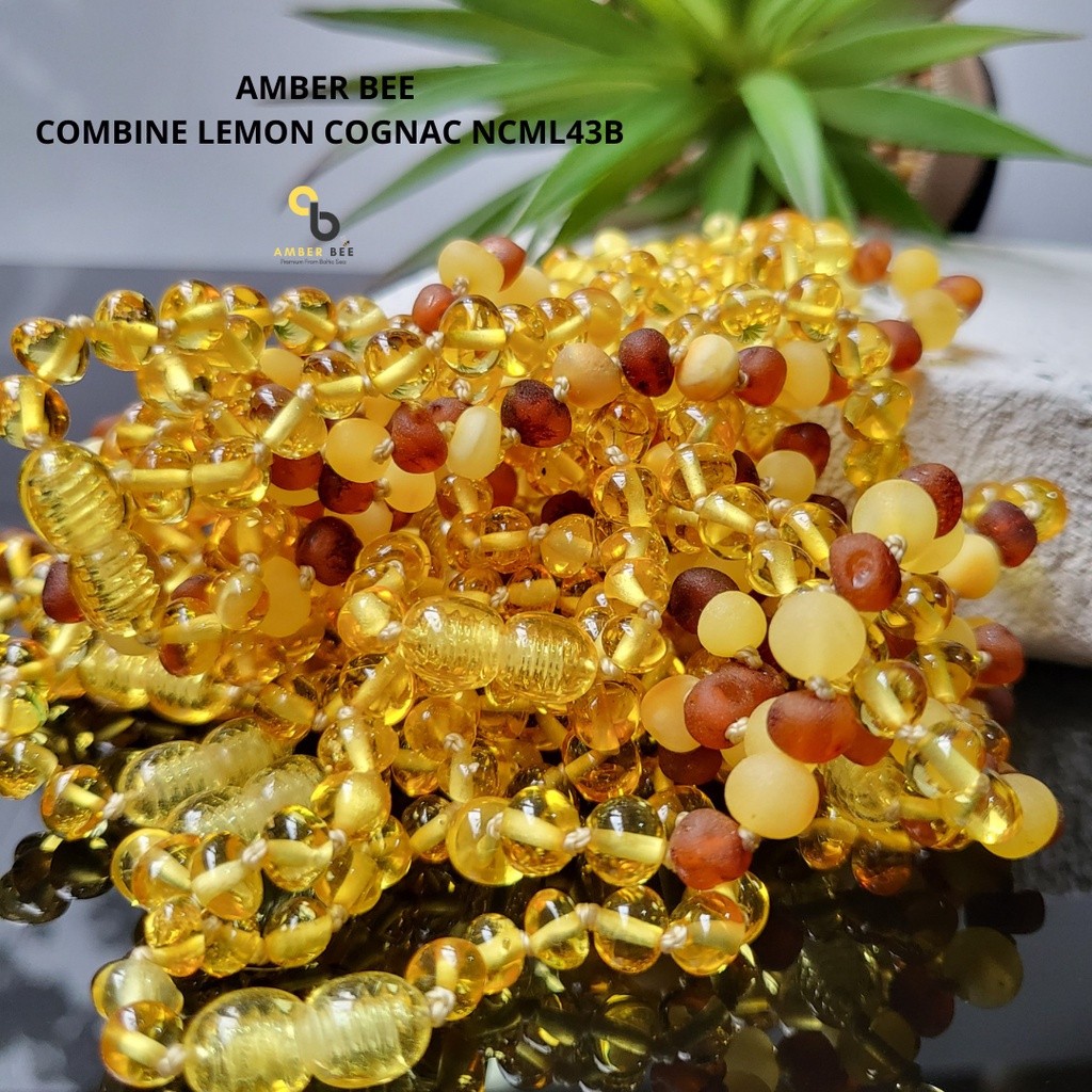 Kalung Amber Baltic Anak Premium Combine Lemon NCML43B By Amber Bee