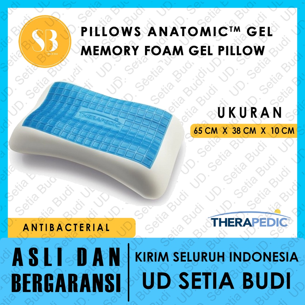 Bantal Therapedic Anatomic Gel Memory Foam