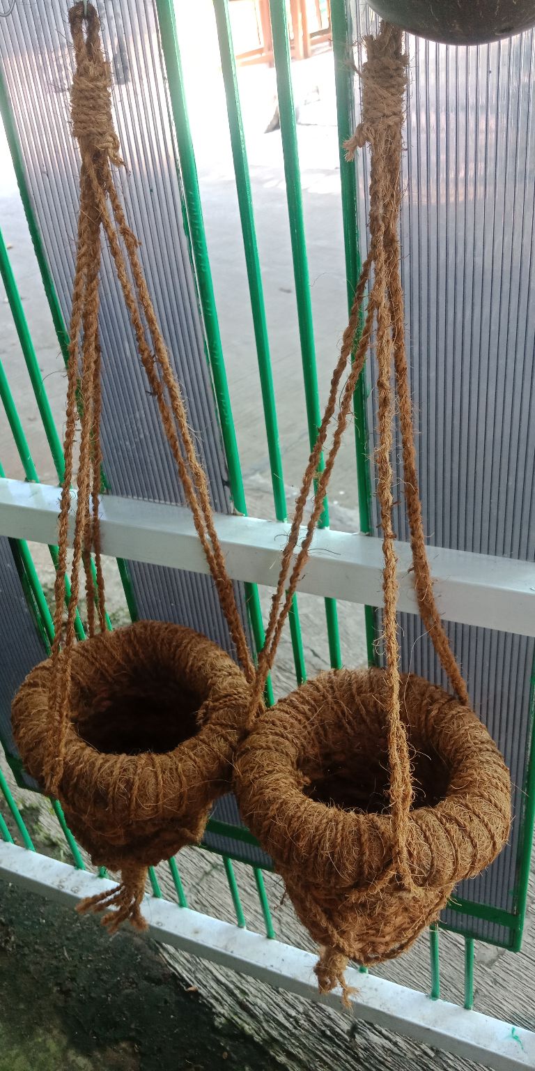 Pot Gantung Pot Serabut Kelapa Sabut Kelapa Pot Anggrek E