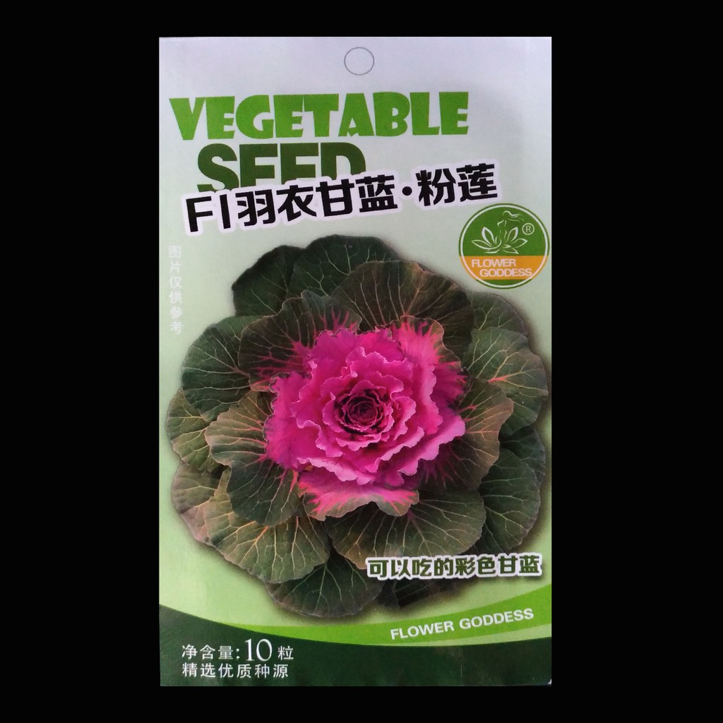 Terlaris Benih Kale F1-05 Grosir