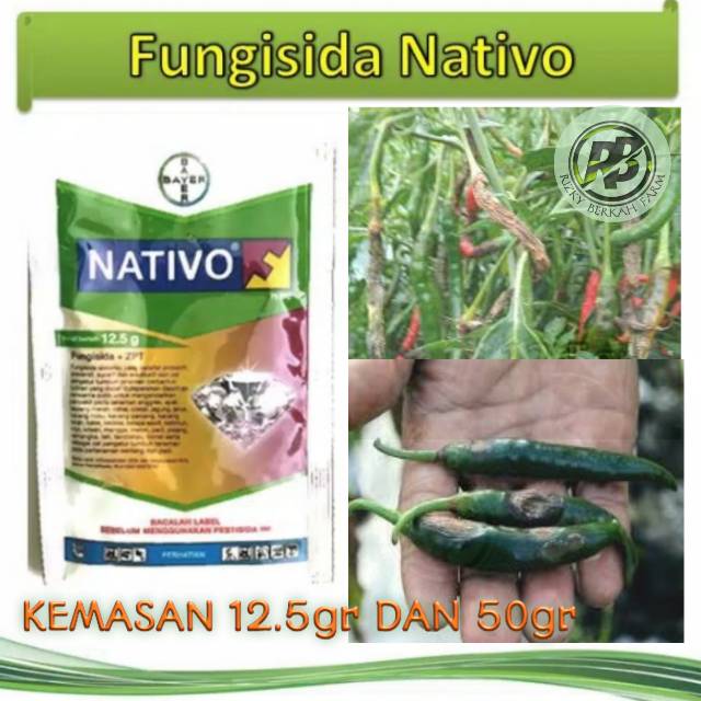 Fungisida Nativo 50gr