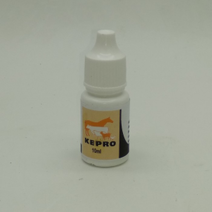 KEPROMEC ORAL Obat Jamur Scabies Kucing