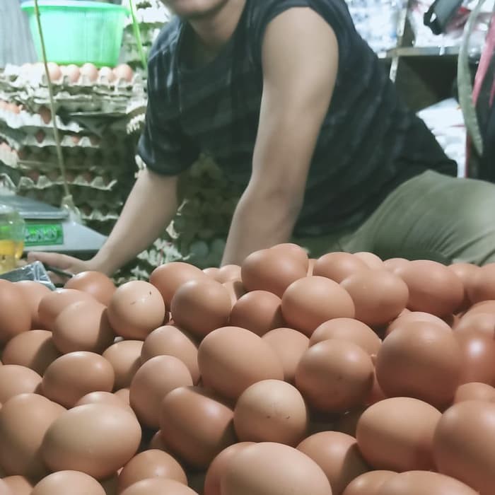 

telor/telor ayam negeri 500 gr Kualitas Super pilihan