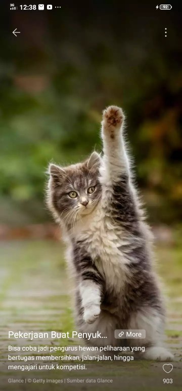 Pembersih Kerak Dan Noda Tirex