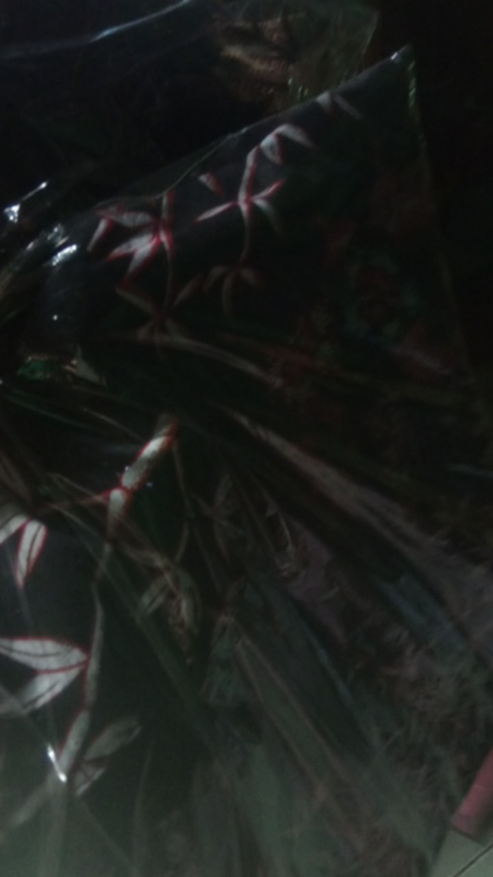 Maura Couple - Sania Ruffle Batik Couple