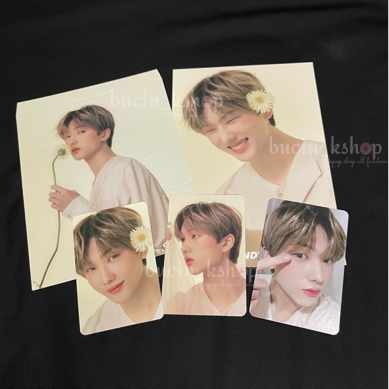 [READY] CANDYLAB V4 JISUNG