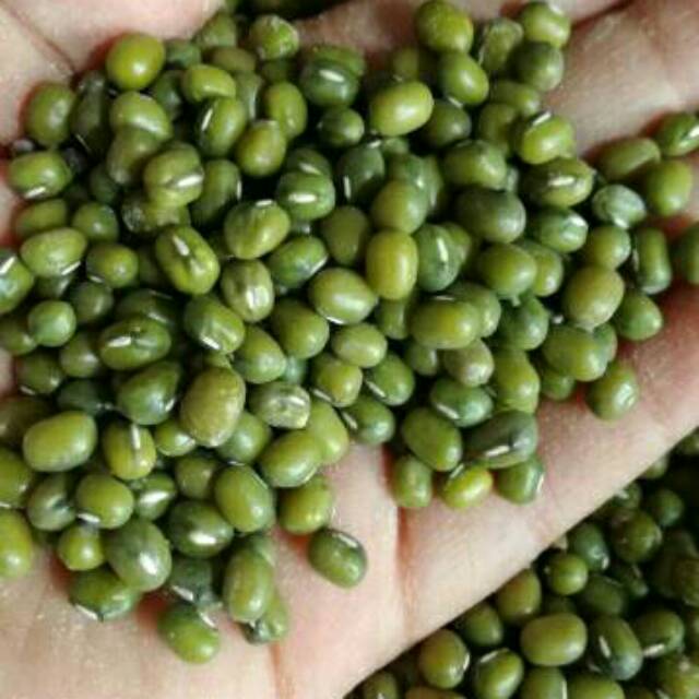 Kacang Hijau Kwalitas Super 500 gr Shopee Indonesia Kacang Hijau Kwalitas Super 500 gr Shopee Indonesia