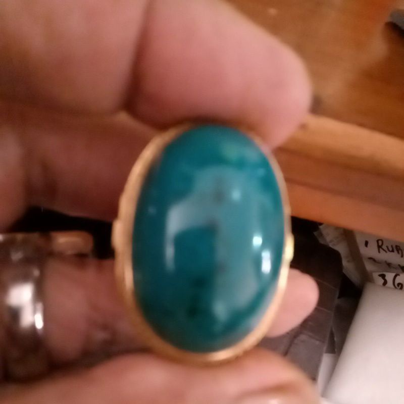 Bacan gulau coklat jumbo