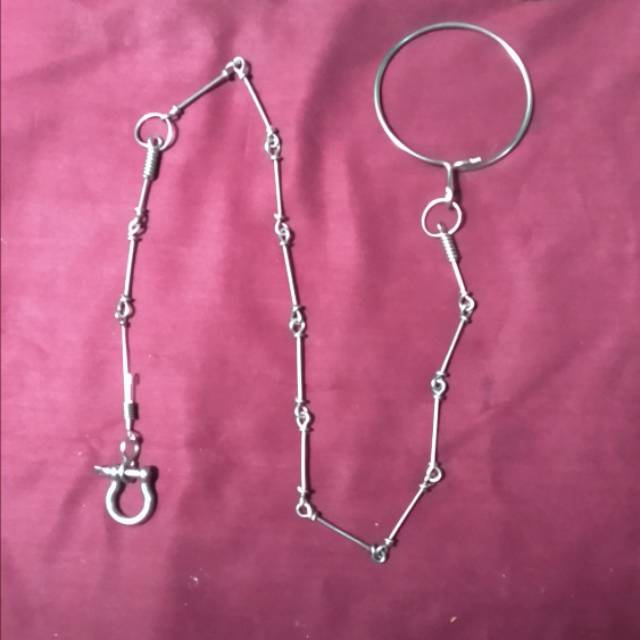 Rantai Burung Ring Omega Kakatua Medium African Grey Nuri bayan