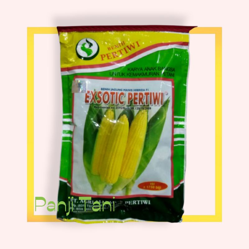 Jagung Manis Exotic Pertiwi