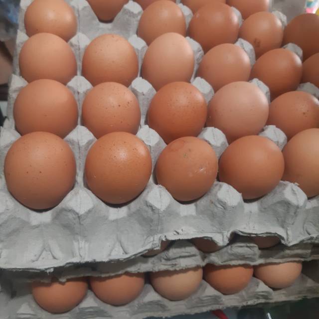 

Telur Ayam 1kg