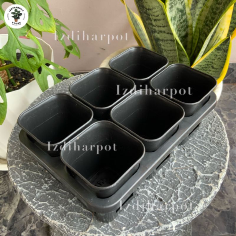 1 set Tray + POT BUNGA NKT KOTAK 7 CM HITAM | tray semai bibit