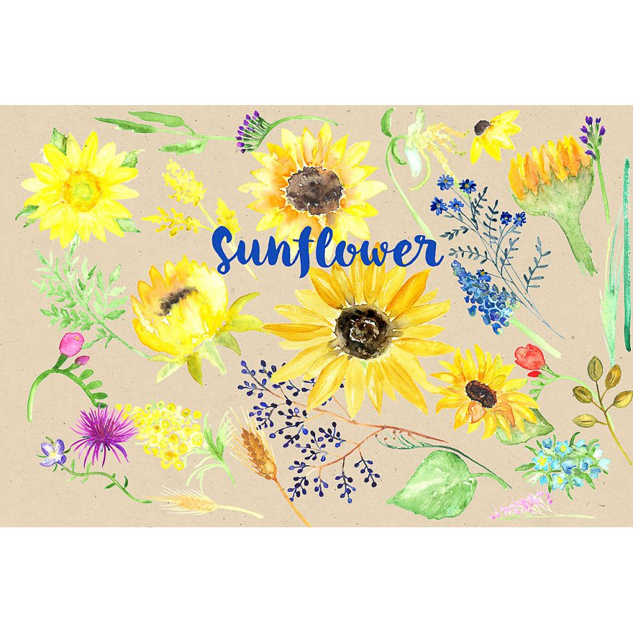 Sunflowers Gold Water Color Clipart - JPEG Ultra HD
