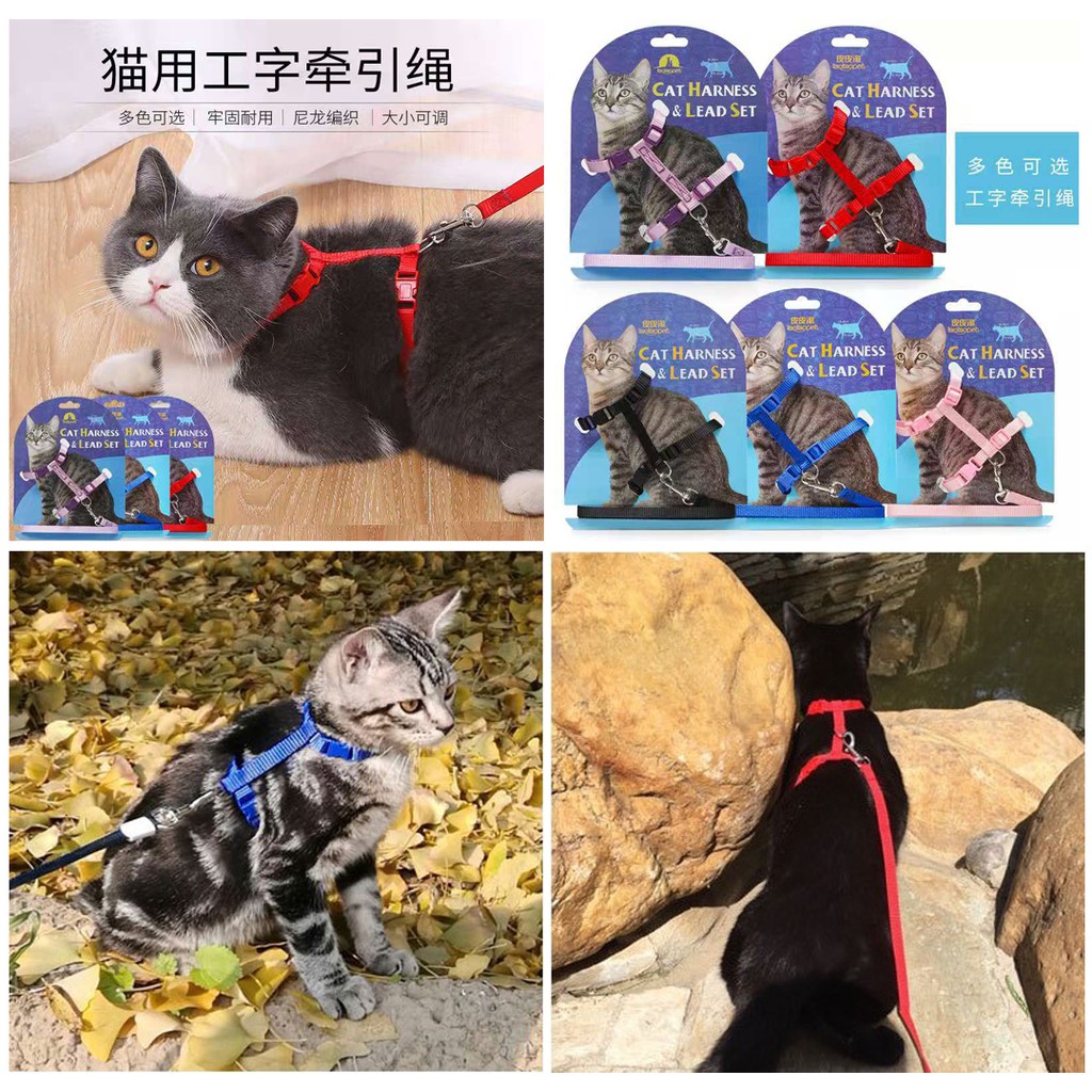 Pet Harness H Dog Cat / Tali Tuntun Hewan Anjing Kucing Musang