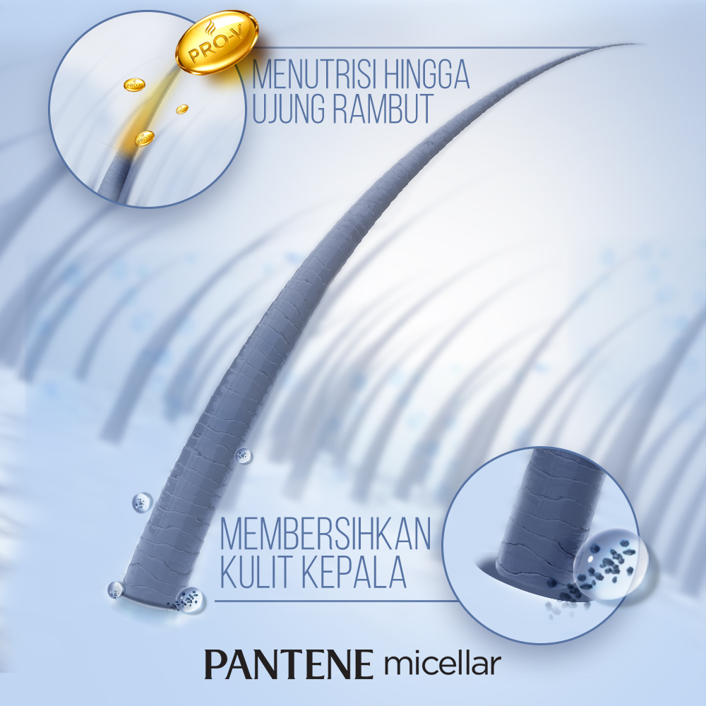 Pantene Micellar Detox &amp; Moisturizer 530ml Shampoo