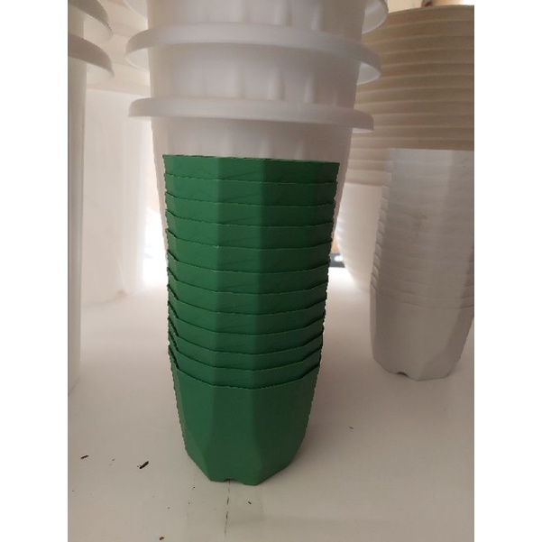 Pot Permata 12 (Lusinan isi 12 pcs) Pot kaktus Pot Bibit GROSIR